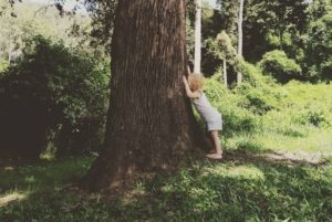 toddler kissing tree